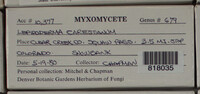 Image Associated With the Occurence